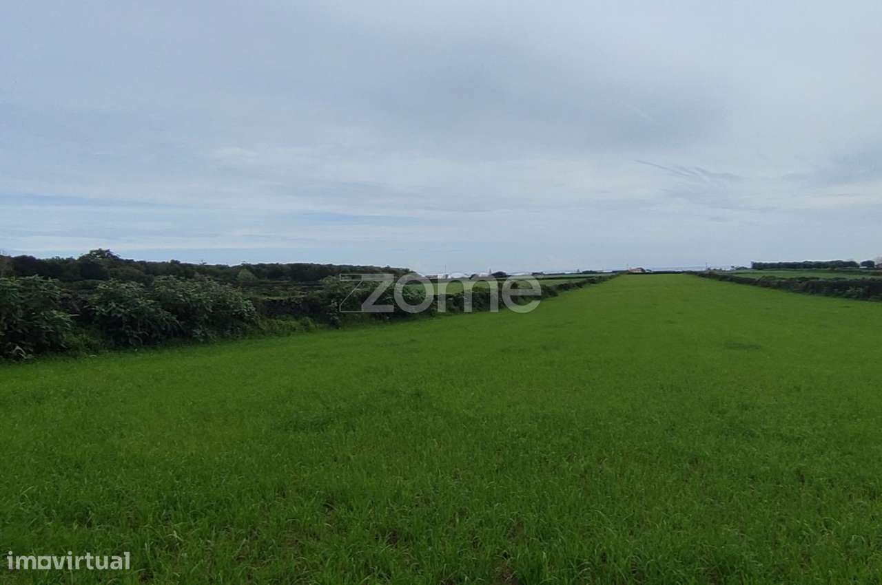 Terreno agrícola - Grande imagem: 2/9