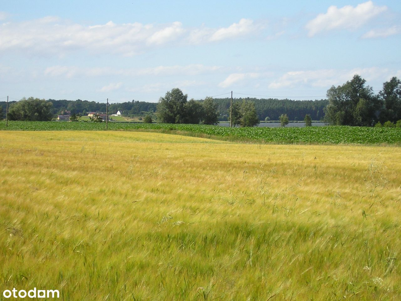 Asfalt, widok, WZ pod siedlisko, woda i prąd obok