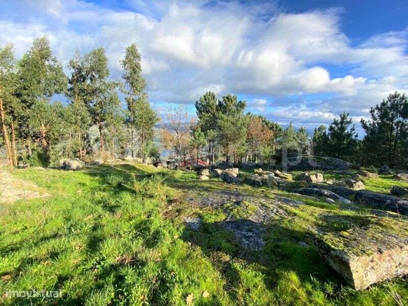Terreno para Construção / Cinfães, São Cristóvão de Nogueira - Grande imagem: 4/8