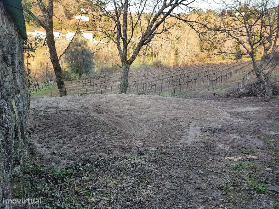 Quinta  para venda - Grande imagem: 5/7