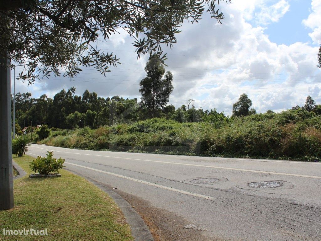 Terreno com 6.579 m2 em São Paio de Oleiros