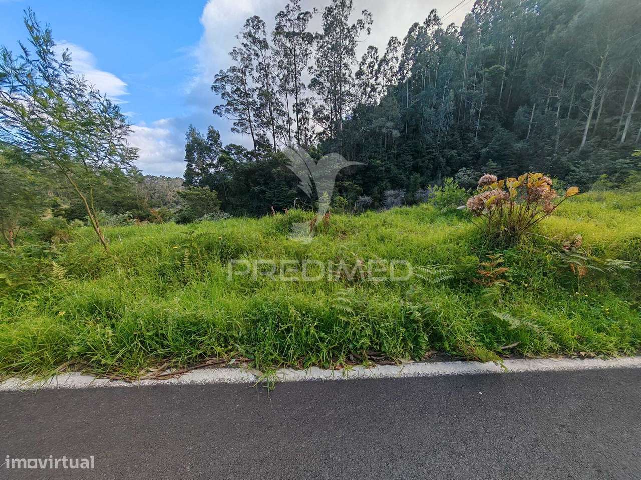 Terreno Rústico com Capacidade Construtiva – 1.740 m² | Ribeira de... - Grande imagem: 5/12