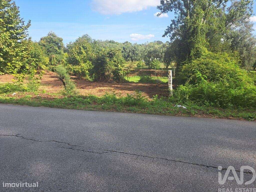 Terreno em Dossãos de 1740,00 m2 - Grande imagem: 4/9