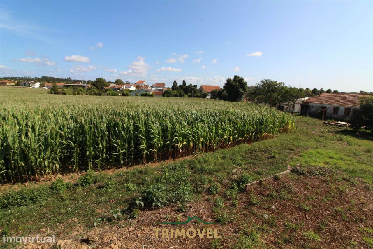 Terreno urbano com moradia antiga em Válega, Ovar-17