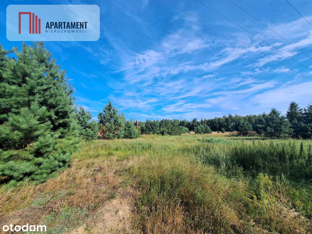 Działka przy bocianim gnieździe Bory Tucholski - Pełny obrazek: 3/5