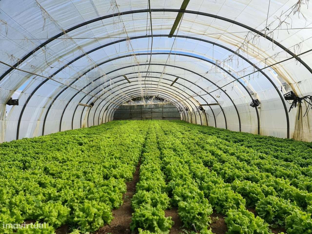 TERRENO RÚSTICO COM 10.540M² - Grande imagem: 4/8