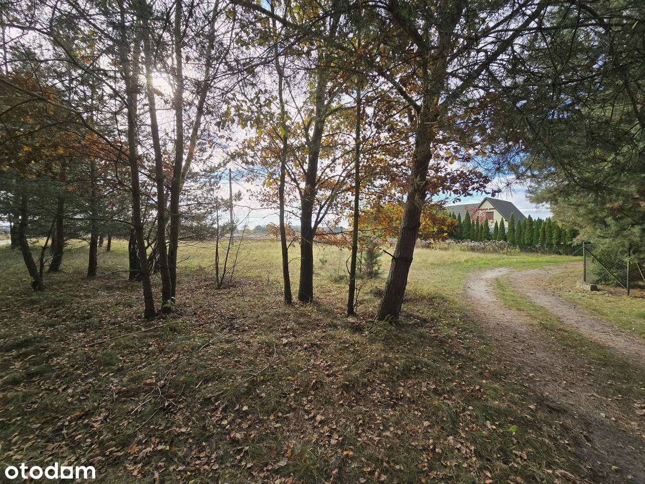 Piękna działka w Rybojadach | Zaciszne spokojne miejsce-4