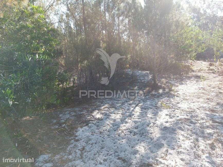 Terreno rustico 14280m2 na região de Aljezur Algarve - Grande imagem: 5/9