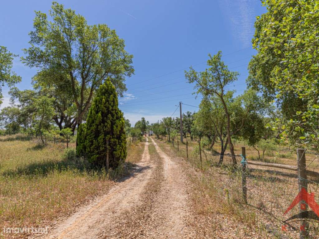 HERDADE COM 18,7 HA | TURISMO AGRICULTURA ENERGIA SOLAR-27