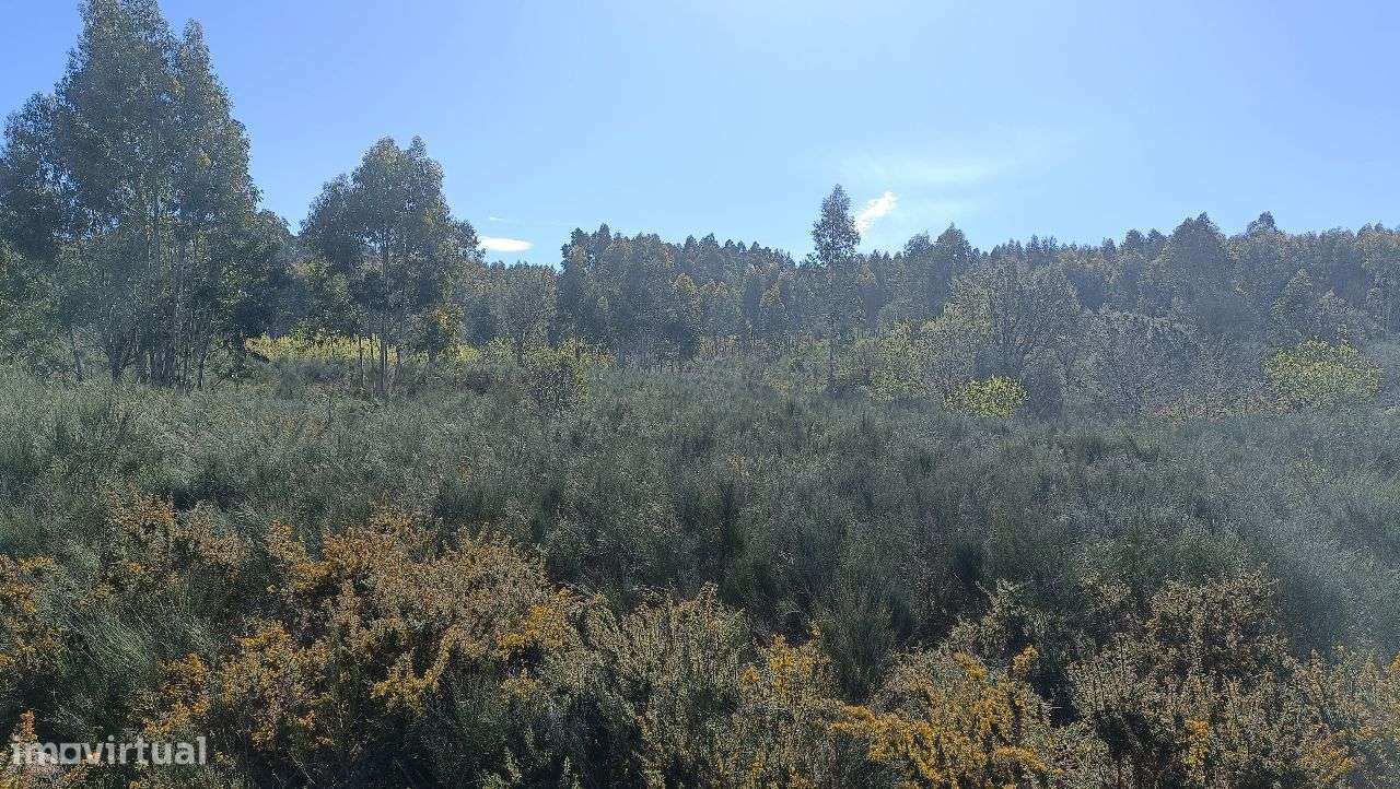 Propriedade Rústica em Santo Tirso-8