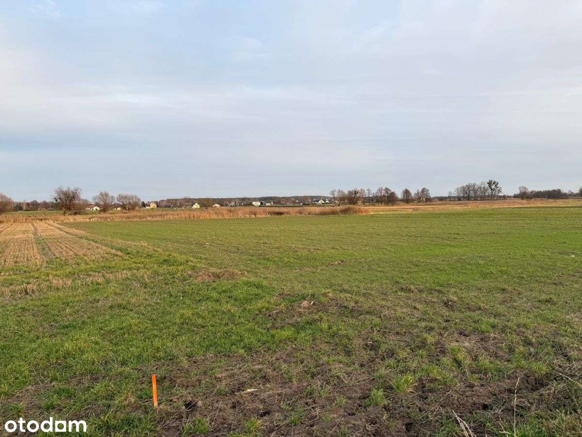 Działki rolne na sprzedaż | bliskość rzeki-2