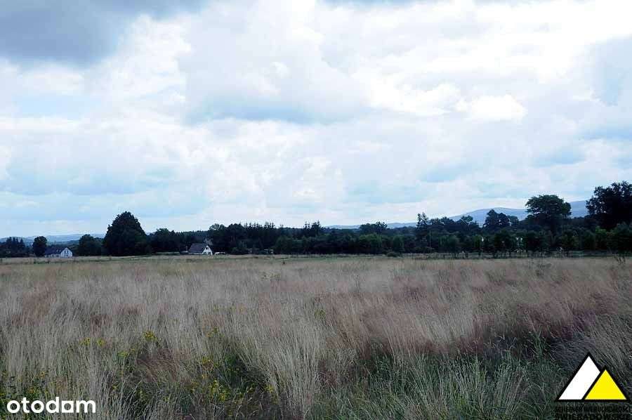 Blisko Wolimierza-14