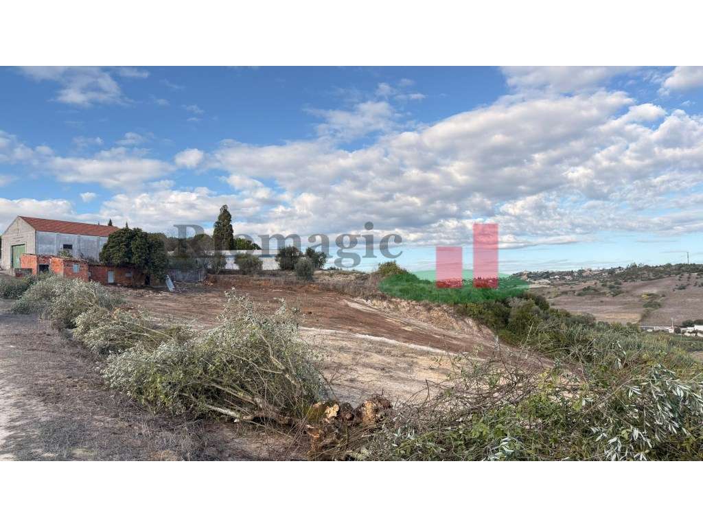 Terreno Azambujeira***RIOMAGIC*** - Grande imagem: 5/12