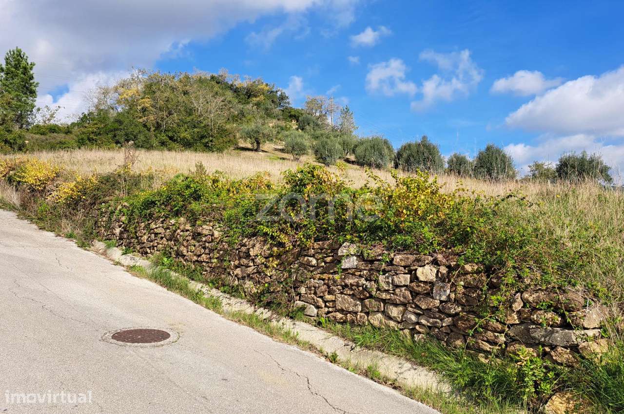 Terreno Urbanizável nas Alcanadas -Batalha - Grande imagem: 4/35