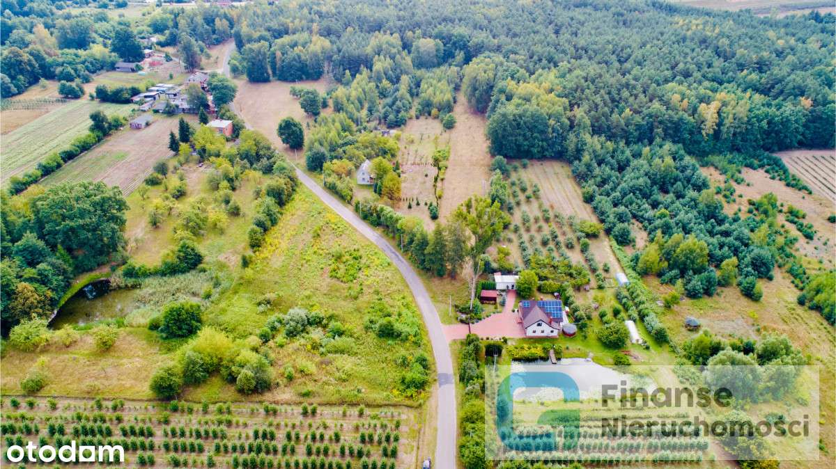 Działka w Wólce Lesiewskiej z możliwością zabudowy - Pełny obrazek: 4/8