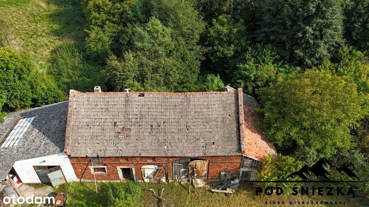 Dom z zabudowaniami- grunty 7300m2- inwestycyjne!-16