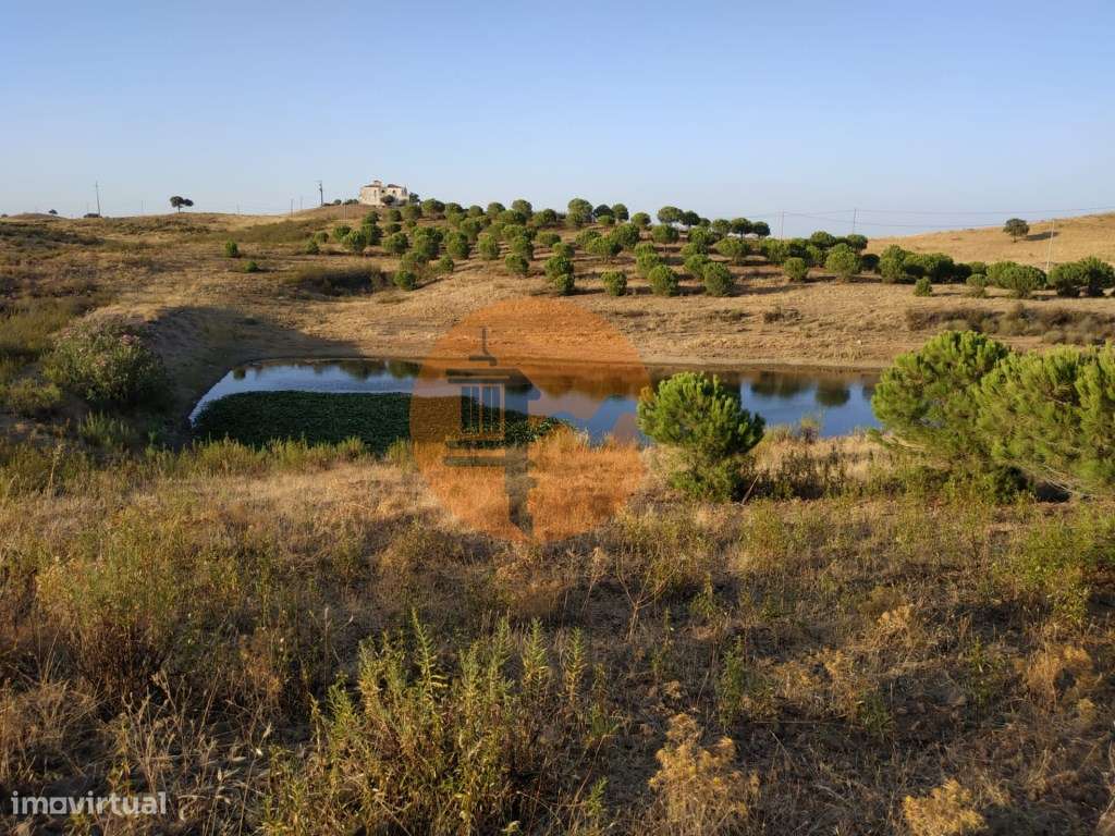 TERRENO COM 53.520 M2 - VISTA MAR - COM LAGO - POSSIBILIDADE DE CON... - Grande imagem: 5/60