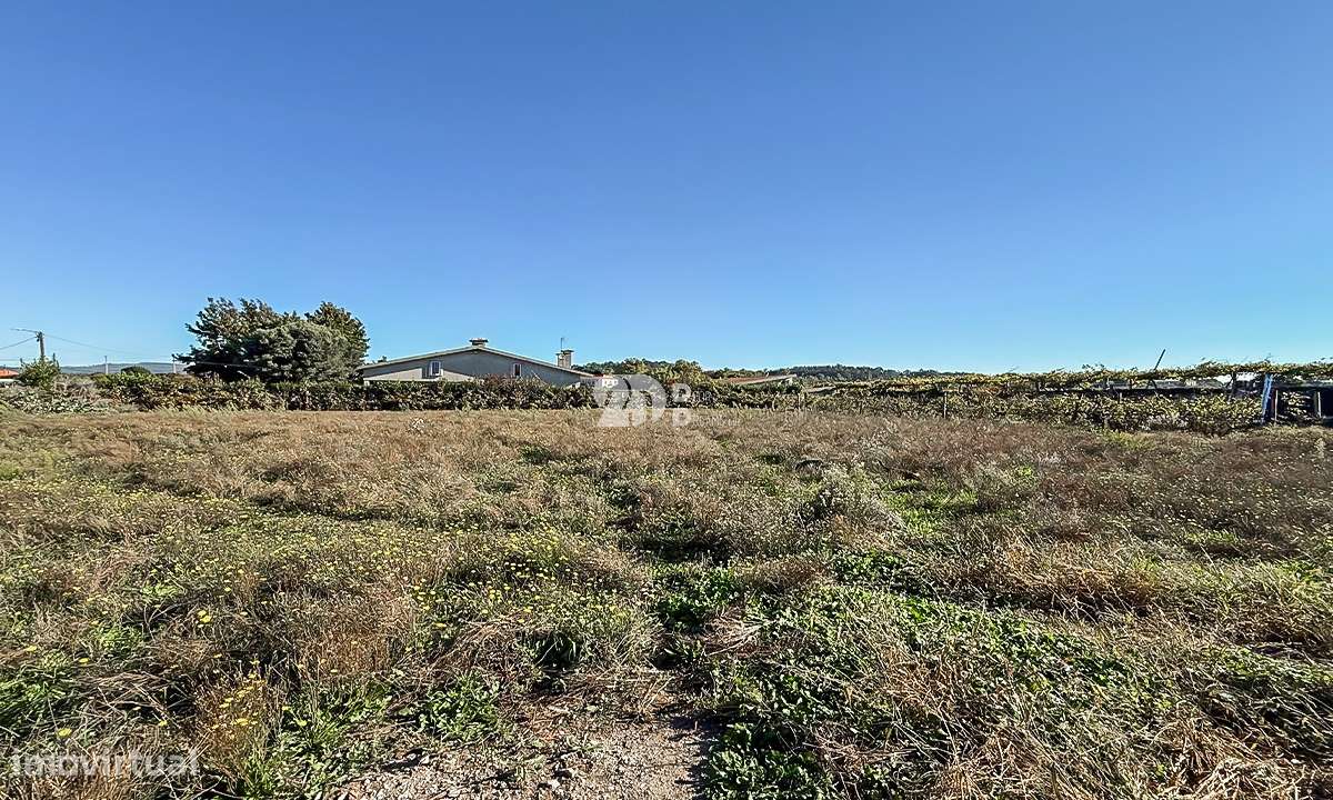 Terreno 2000m² - Areias - Grande imagem: 5/12