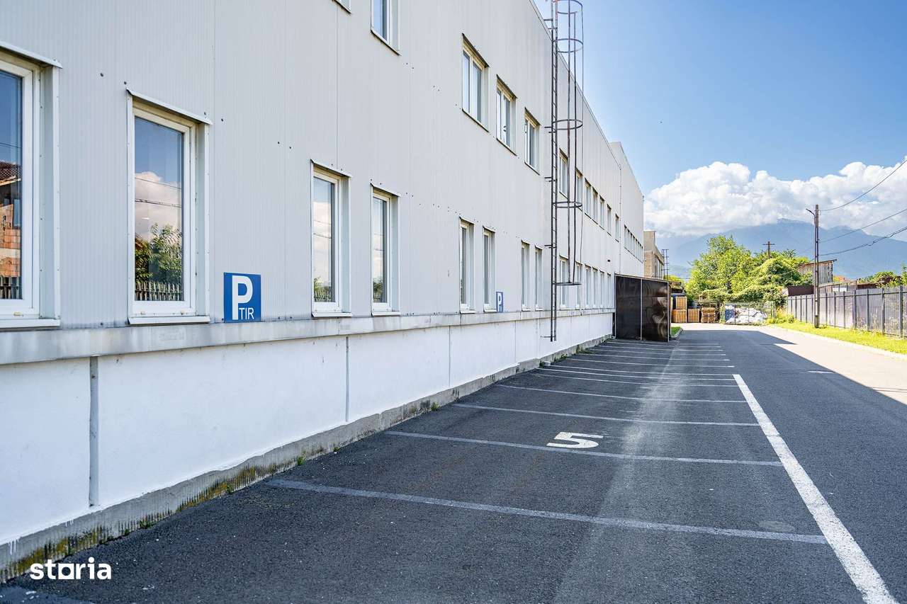 Hala Rasnov - Imagine principală: 1/9