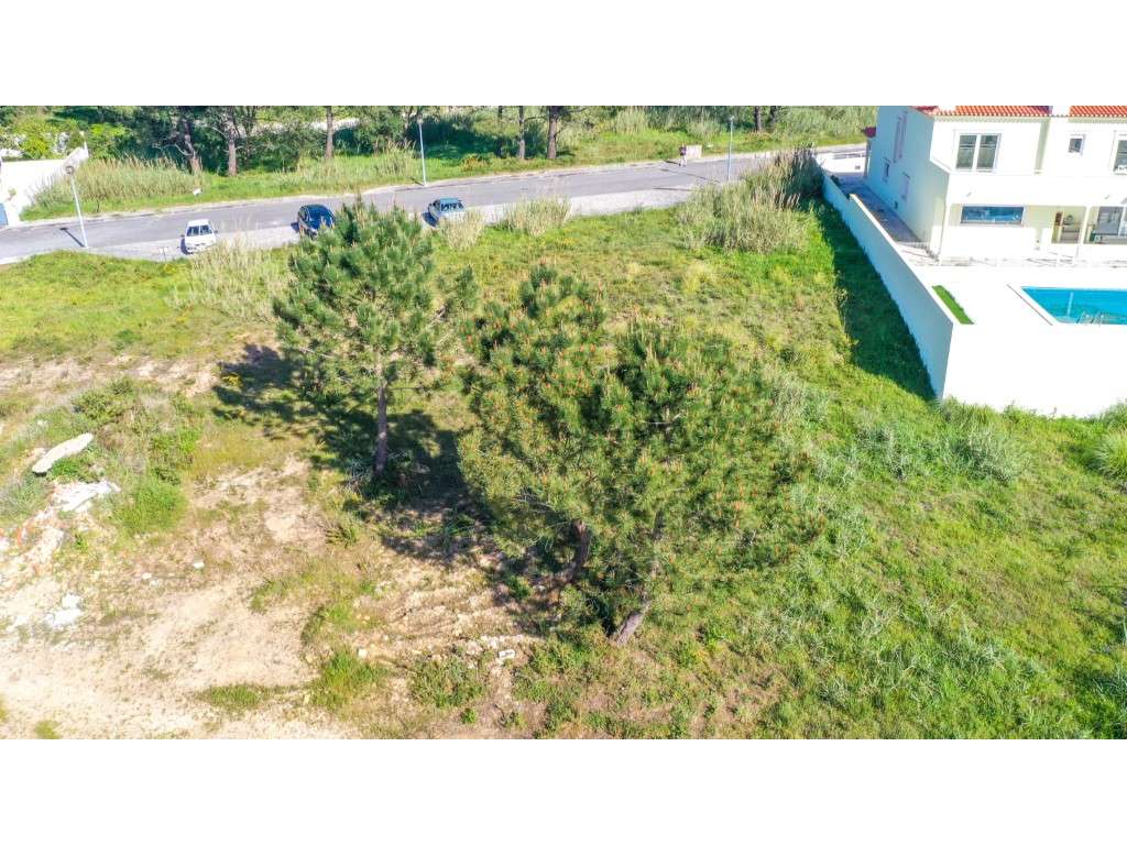Lote para construção - Caldas da Rainha - Grande imagem: 5/6