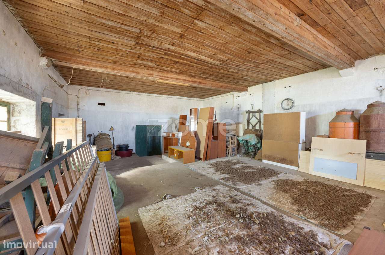 Lagar || Montalvo, Constância-7