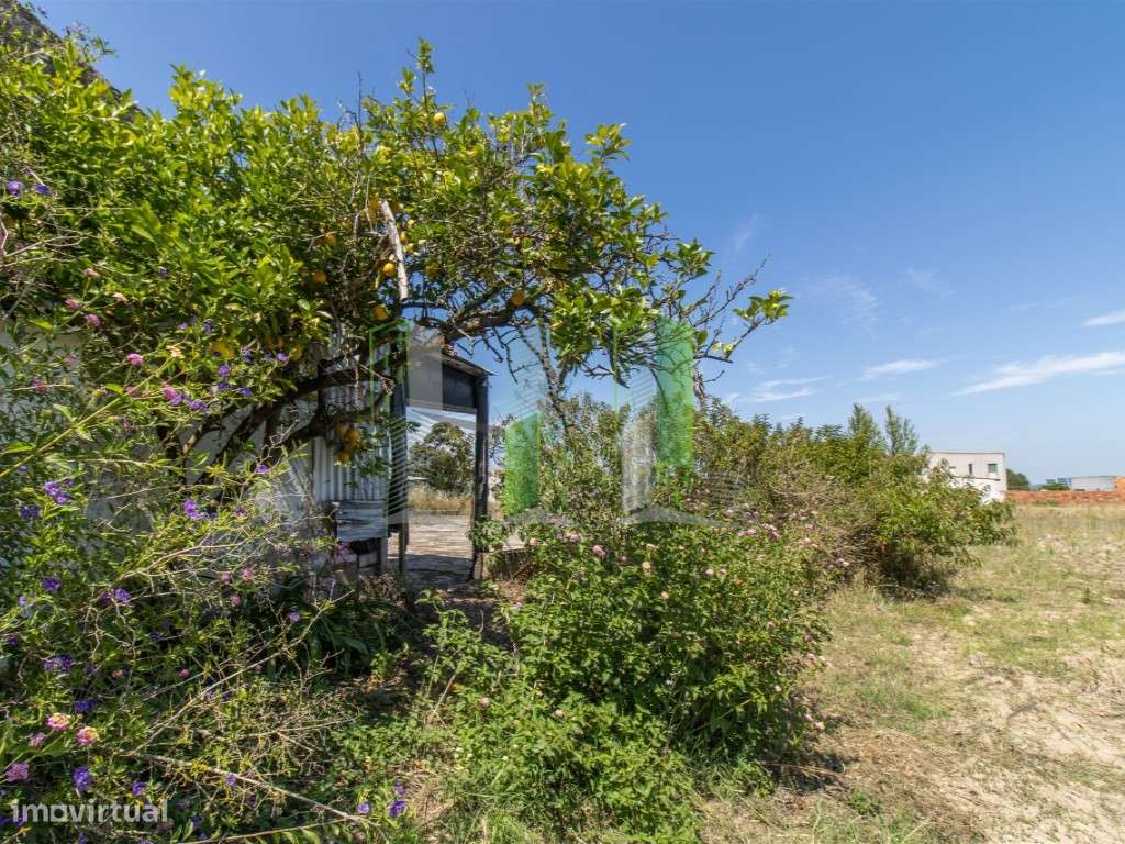 Venda de Terreno em Maiorca Terreno rústico com possibilidade de co... - Grande imagem: 5/15