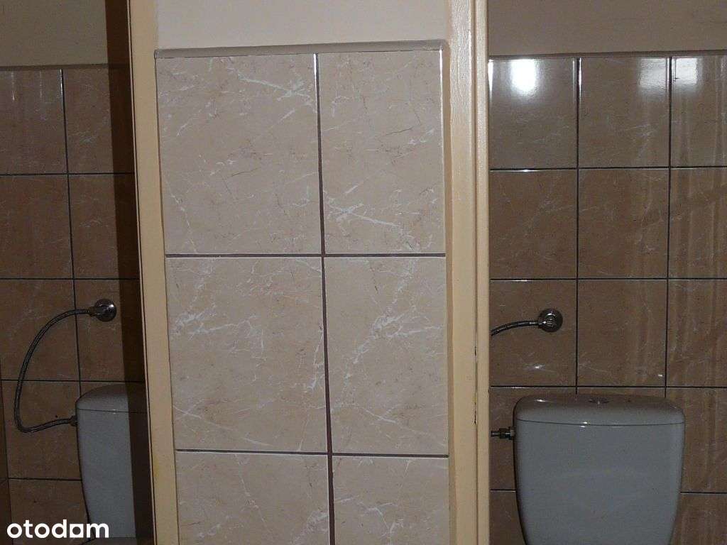 Wynajmę halę magazyn 50x11,4x3,9+plac 3000m2 - Pełny obrazek: 5/7