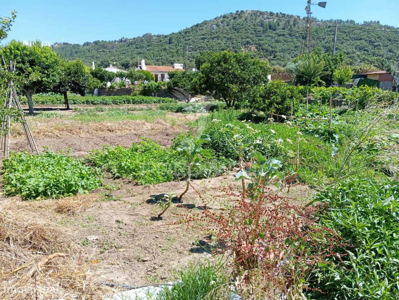 QUINTA PORTO DA BOUGA - Grande imagem: 5/14