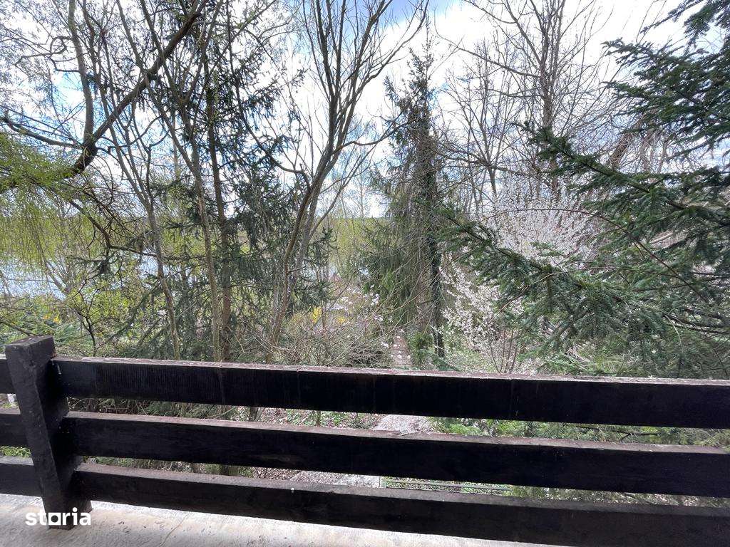 Vila de lux - Snagov, acces la ponton 70 m, deschidere la lac-13