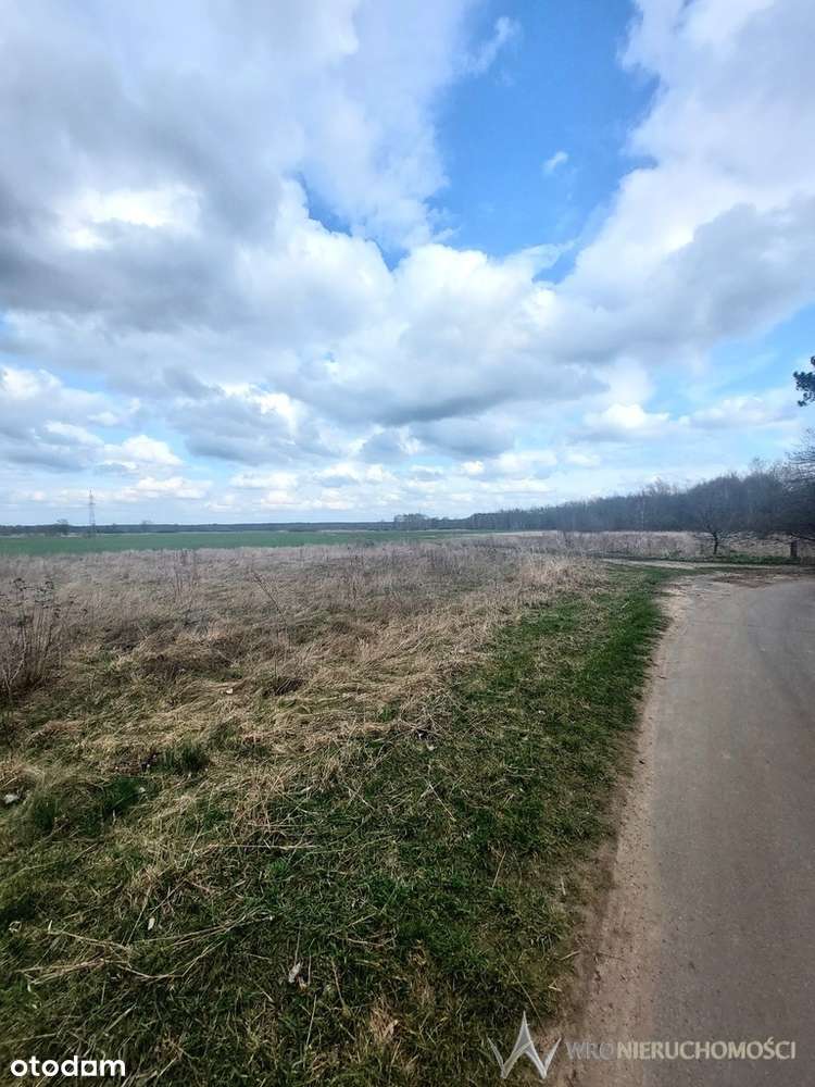 Działka bud.| Orzeszków k. Ścinawy| Nowa cena! - Pełny obrazek: 5/9