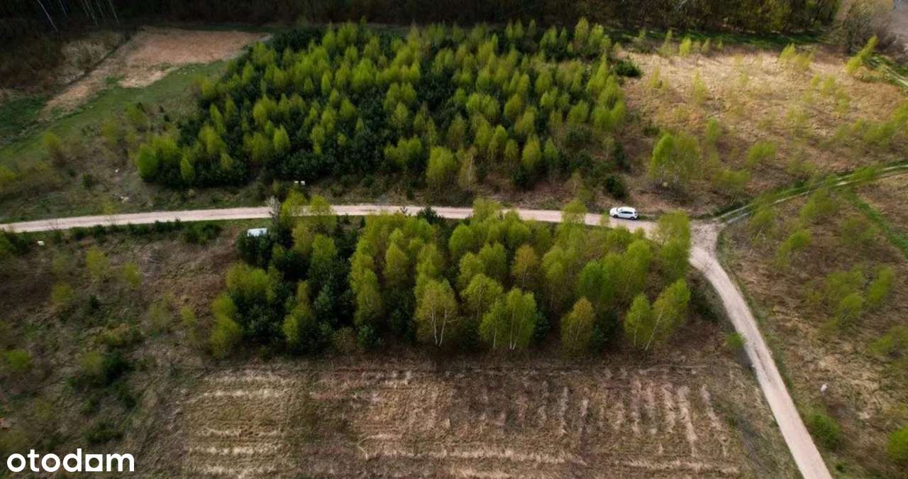 ROGALIN, Wyjątkowa działka pod miastem - Pełny obrazek: 4/5