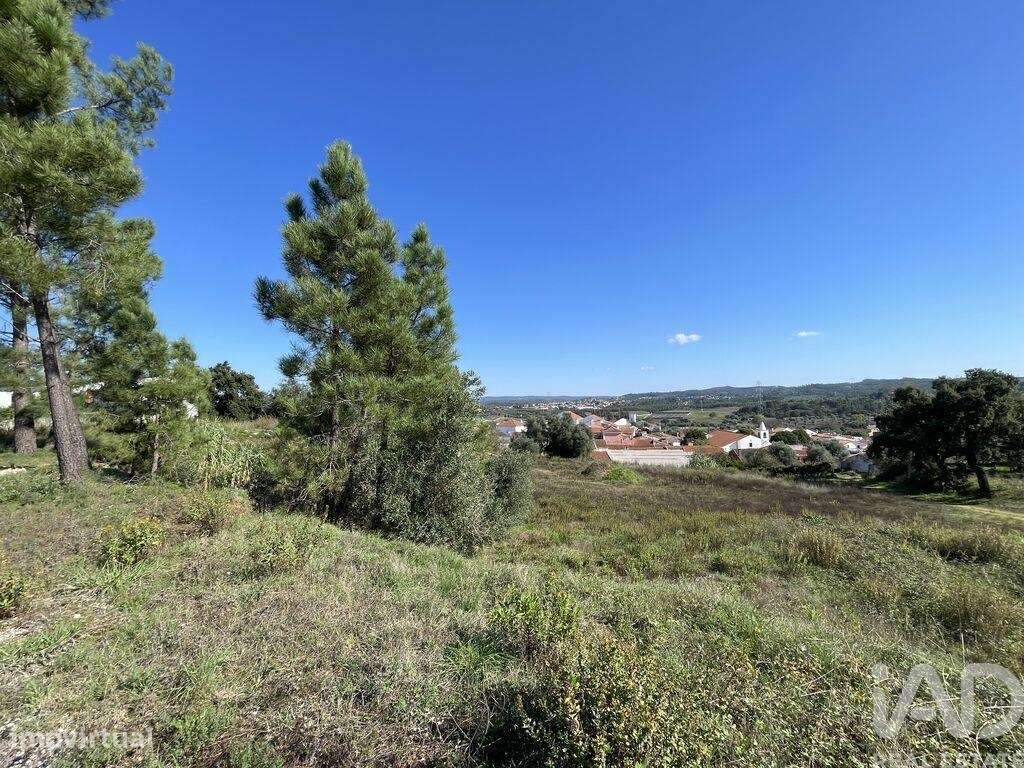 Terreno para construção em Asseiceira de 4640,00 m2 - Grande imagem: 3/13
