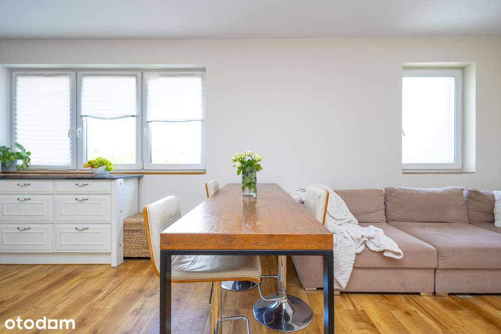 dom wolnostojący z prosperującą restauracją/Widawa - Pełny obrazek: 5/20