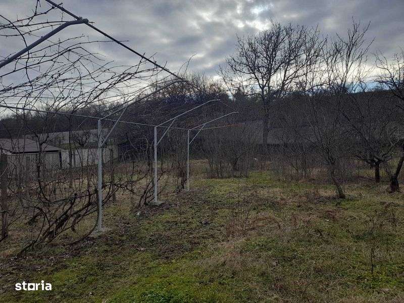 Teren cu Casa  de vanzare in localitatea Ion Luca Caragiale pe dn72 - Imagine principală: 4/7