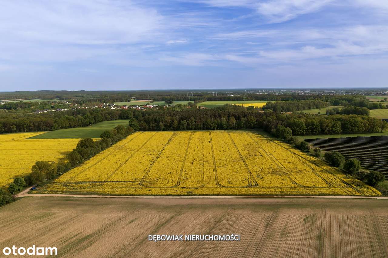 II etap sprzedaży / Atrakcyjne nowe osiedle w Gronówku / blisko Leszna-9