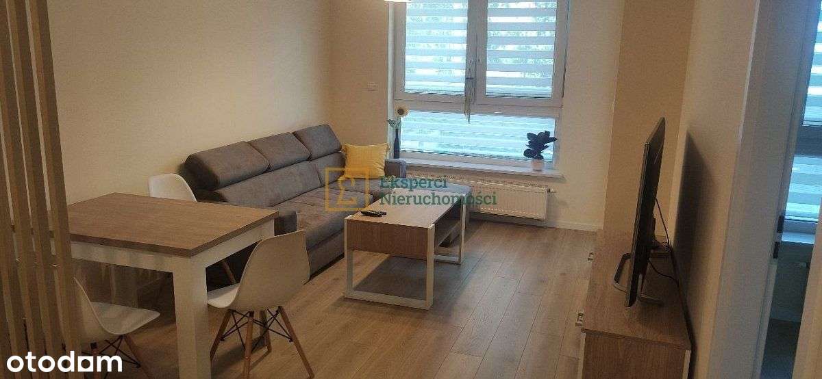 Mieszkanie 40m2 na wynajem, Rezerwacja - Pełny obrazek: 3/10