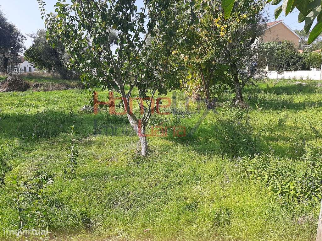 Terreno para construção - Grande imagem: 2/4