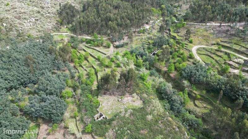 Propriedade 3ha com, 2 Ruínas e Quedas de Água em Fiais da Beira - Grande imagem: 5/11