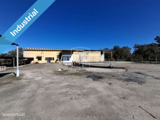 Armazém com 878m2 inserido num terreno com 11.310 m2 situado próximo d - Grande imagem: 2/10