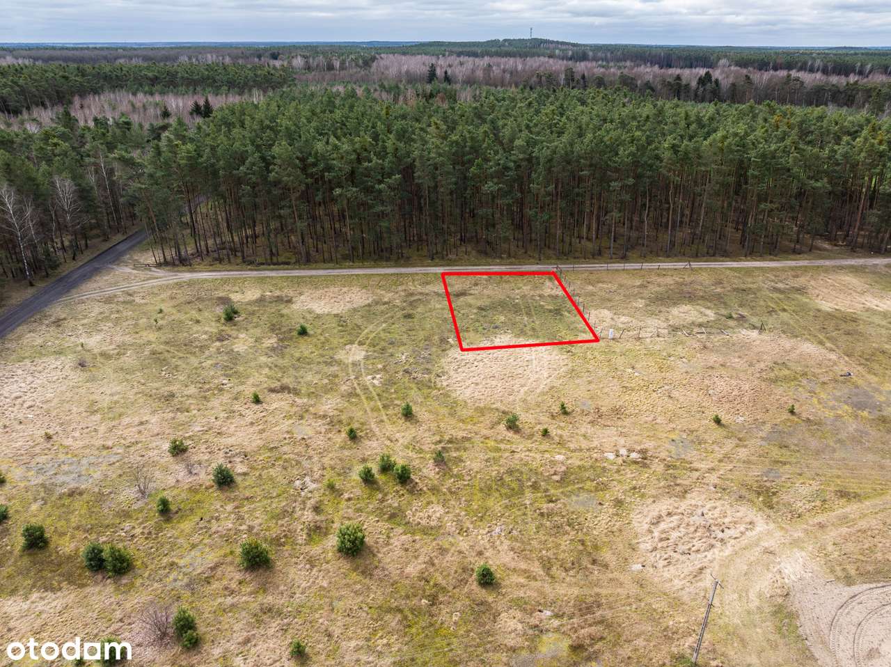 Las za oknem, śpiew ptaków w gratisie, oaza spokoju/Murzynowo Leśne-1