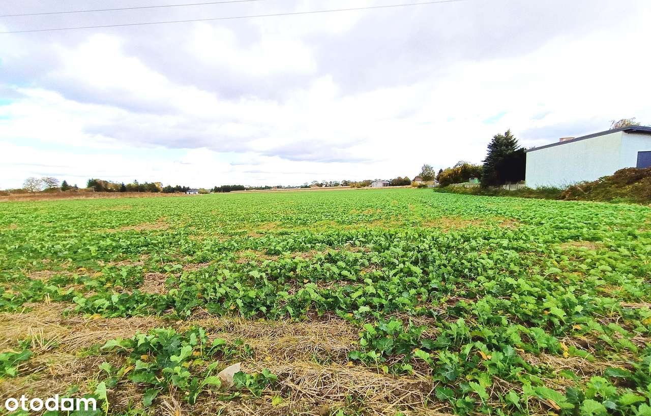 Działki budowlane Płoskie-3