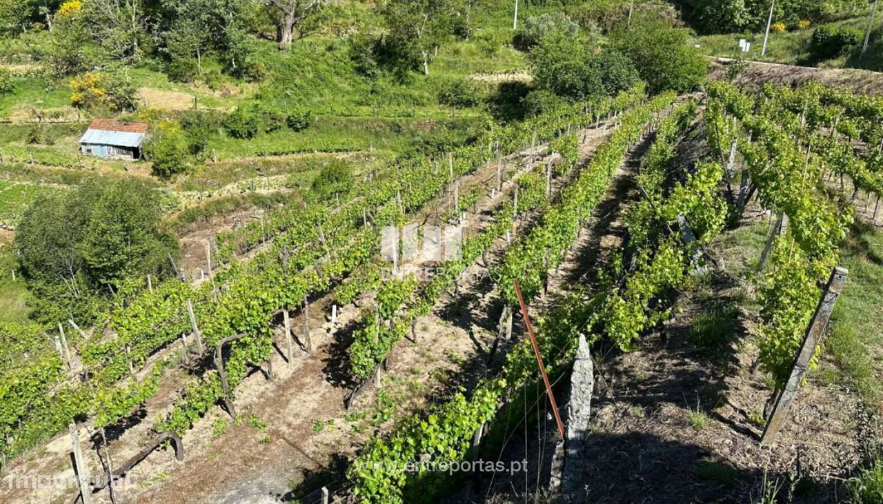 Venda Terreno, Sta. Marinha do Zêzere, Baião - Grande imagem: 5/27