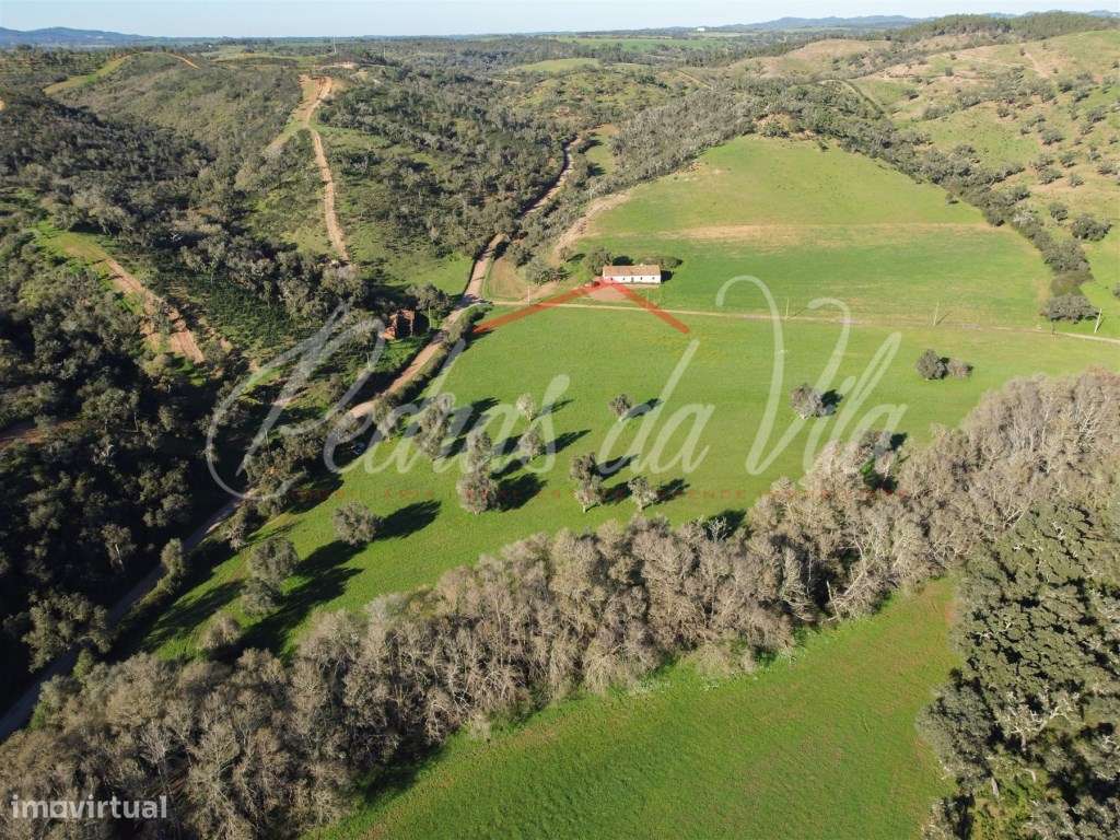 Monte Alentejano de 36ha com 3 ruinas - Pego das Pias - Odemira-28