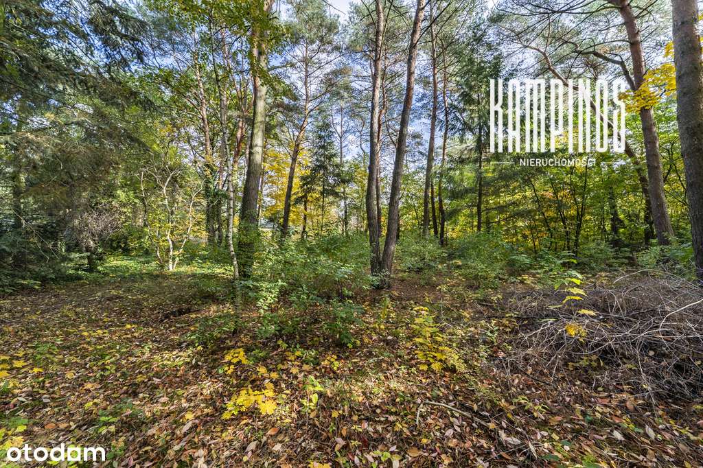 Zadrzewiona działka budowlana w Izabelinie C-2