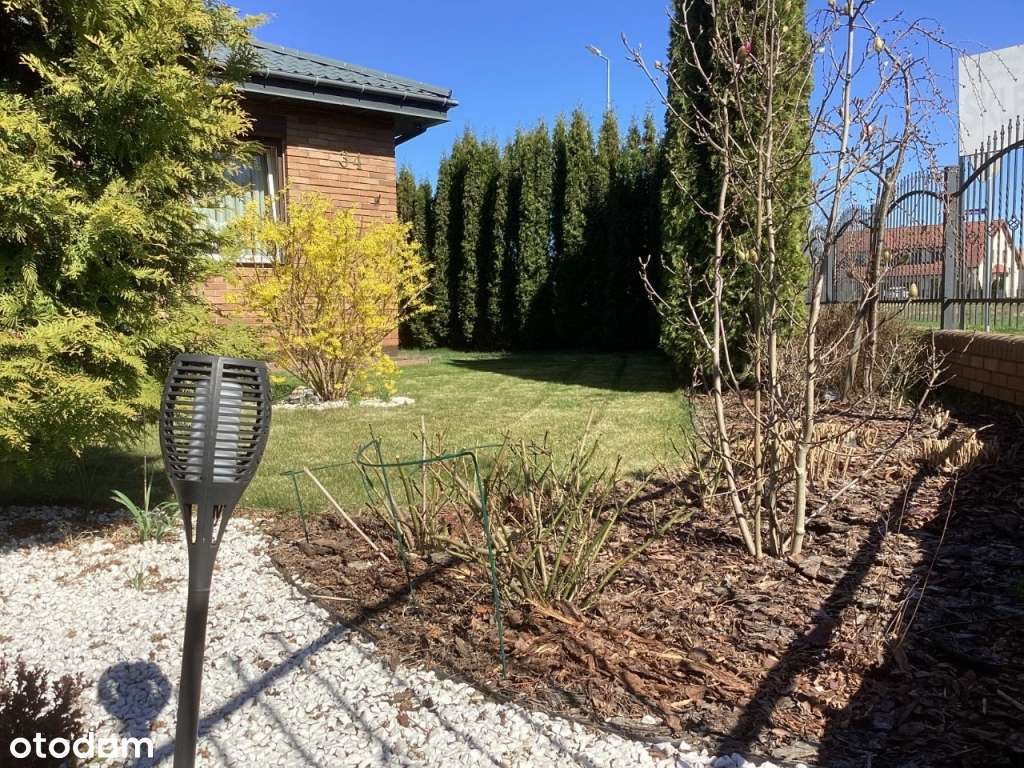 Dom mieszkalny i dom + budynek użytkowy do najmu-8