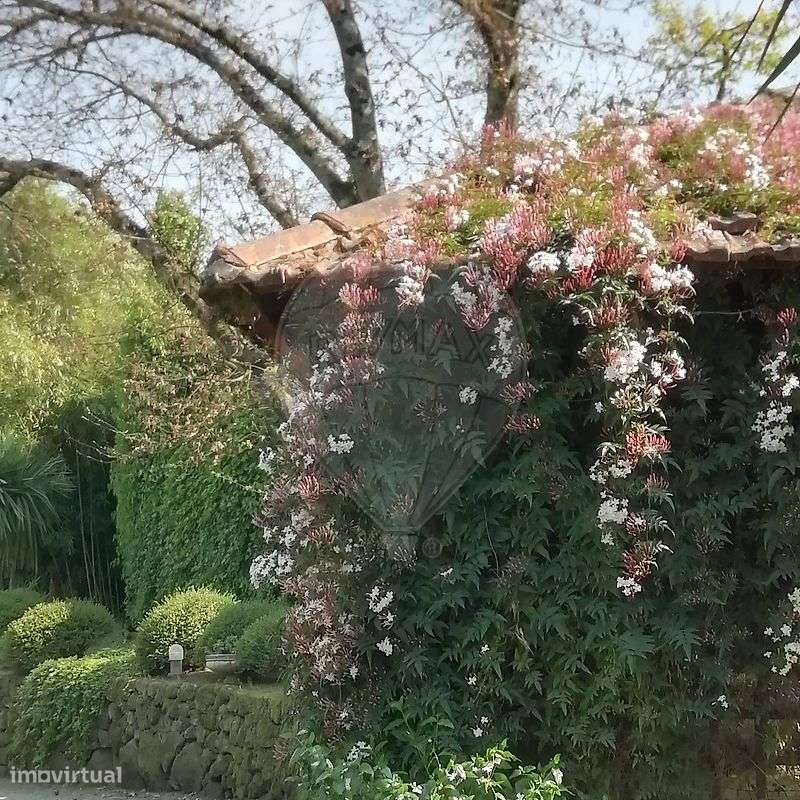 Quinta T3 para venda-19