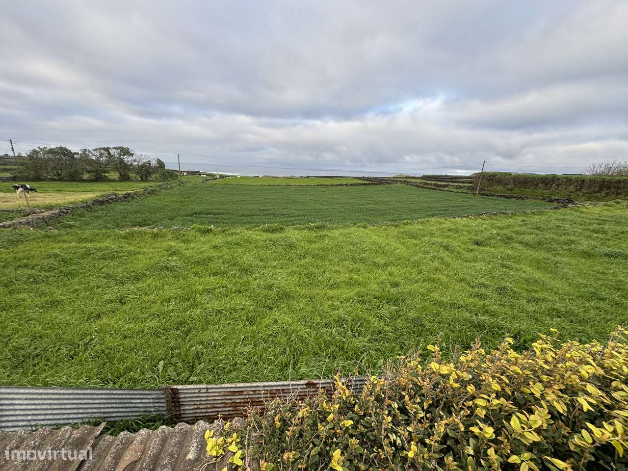 Terreno Vista Mar - Vila Nova, Ribeira da Areia - Praia da Vitória - Grande imagem: 4/4