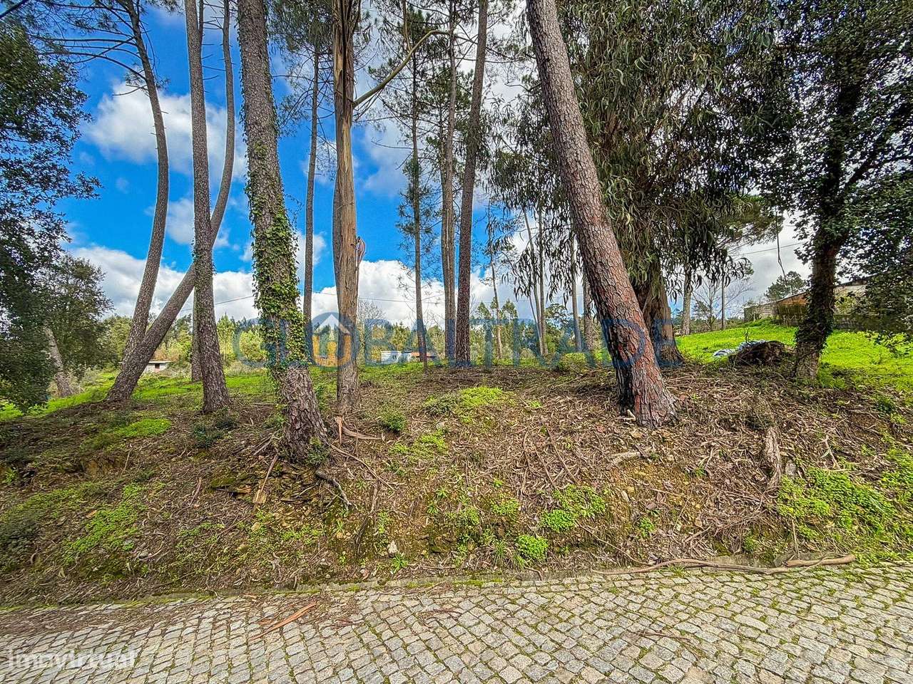 Terreno Urbano 1 798m² em Melres-2