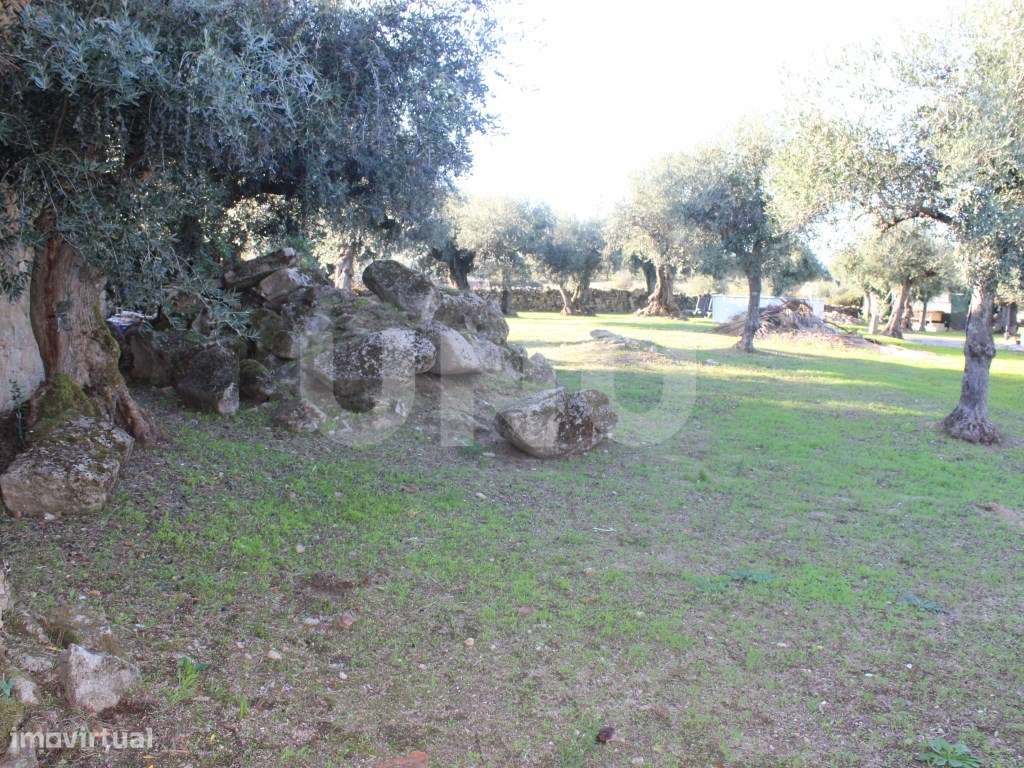 Terreno Urbano com 850m2 de área-7