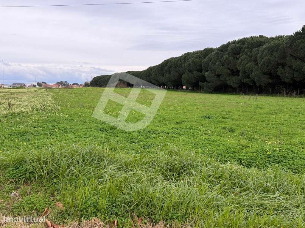 Terreno com 43 mts frente construção moradias - Quintãs | Aveiro - Grande imagem: 4/20